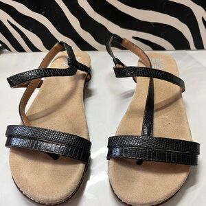 JANE AND THE SHOE Womens Black Holly Round Toe Slip On Thong Sandals 6 M